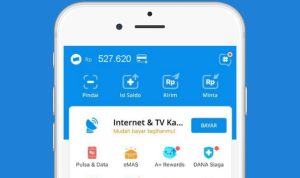 Aplikasi Penghasil Saldo DANA Hingga Rp500 Ribu