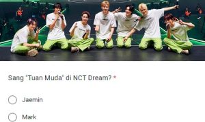 Tangkapan Layar Ujian Fans NCT Dream 2023 via Google Form