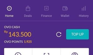 Saldo OVO Gratis Tinggal Klaim Bisa Dapat 100.000 Rupiah!