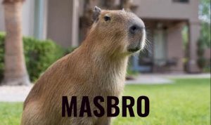 Hewan Masbro Viral, Apa itu Hewan Masbro? Simak Disini Beserta Memenya Hewan masbro