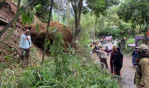 Longsor di Curug Pelangi Cimahi, Gumpalan Pohon Bambu Tutupi Jalan Kolen Masturi