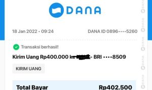 Tips Pencairan Saldo DANA Gratis Langsung Cair Rp400 Ribu, Tanpa Lama
