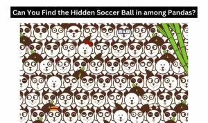 Tes IQ Gambar: Coba Temukan Bola Sepak yang Tersembunyi di Antara Panda