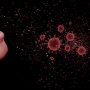 Penyakit Tuberkulosis, Bisa Sembuh Dengan Hitungan Bulan