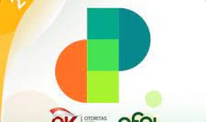 Resmi Mudah Cair, Cicilan 12 Bulan Limit Rp30 Juta!! Pinjol Legal OJK Ini Bisa Jadi Pilihan