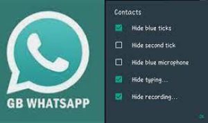 Download WA GB WhatsApp Apk Pro v17.52 Terbaru Gratis, Cek Di Sini Makin Banyak Fitur Menarik!