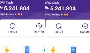 saldo OVO gratis 2023