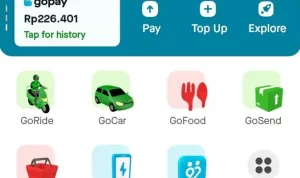 Apk Penghasil Saldo GoPay Gratis Paling Gampang 2023