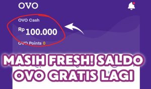 saldo OVO gratis terbaru