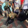 Mensos Risma Sujud di kaki Guru SLB, Begini Kronologinya
