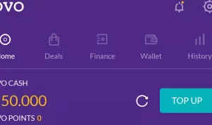 Modal Aplikasi Dapat Saldo OVO Rp50.000 Langsung Cair Modal Aplikasi Dapat Saldo OVO Rp50.000 Langsung Cair