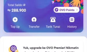 Cara Dapatkan Saldo OVO Rp300.000 Gratis, Cek Disini Sekarang Juga!