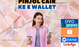 Pinjol Cair ke E Wallet, Pinjam Hingga 20 Juta Tanpa Perlu Rekening Pribadi