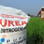Kabupaten Bandung Alami Kelangkaan Pupuk, Bupati Layangkan Surat ke Kementan Minta Audensi