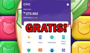 Coba Ambil Saldo OVO Gratis Rp200 Ribu di Sini, Langsung Cair