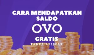 Cara Mendapatkan Saldo OVO Gratis tanpa Aplikasi Cara Mendapatkan Saldo OVO Gratis tanpa Aplikasi