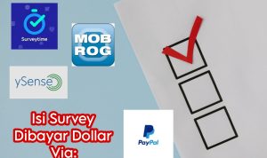 Isi Survey Doang Bisa Dapet Uang! Gini Caranya!
