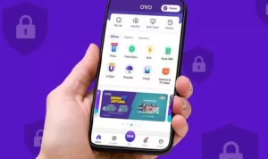 Simak Cara Tarik Saldo OVO Rp270.000 Gratis, Dijamin Sukses! saldo OVO gratis dari web