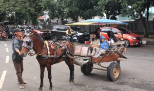 Masyarakat menikmati jasa wisata kuda tunggang dan delman sembari ngabuburit di kawasan Masjid Pusdai. (HENDRIK MUCHLISON/JABAR EKSPRES)