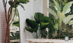 5 Cafe Instagramable Di Bandung