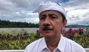 Viral, Turis Bali Protes Karena Suara Kokok Ayam di Pagi Hari