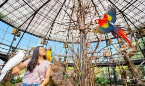 3 Rekomendasi Tempat Wisata Bandung Hits 2023 3 Rekomendasi Tempat Wisata Bandung Hits 2023