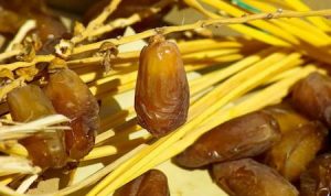 Buka Puasa Dengan Kurma Ternyata Banyak Manfaat!