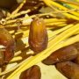 Buka Puasa Dengan Kurma Ternyata Banyak Manfaat!