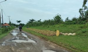 Desa Tawangsari memiliki pecantilan yang merupakan bagian desa yang terpisah dari desa induk. Pecantilan tersebut tidak terlalu jauh.