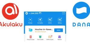 Pinjam Uang di DANA Bisa Cair 10 Juta? Simak Di Sini!