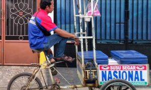 Pedagang susu murni Nasional