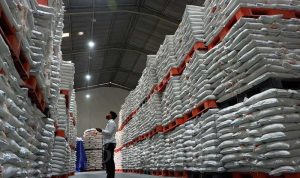 Stok Beras Aman Hingga Lebaran, Bulog Minta Masyarakat Tidak Punic Buying