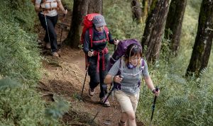 Pendaki gunung