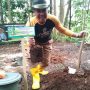 Hari Desa Asri Nusantara, DPMD Jabar Laksanakan Gerakan Tanam Pohon