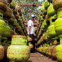 Kadisdagin Kota Bandung Elly Wasliah mengatakan untuk (HET) Gas elpiji 3 Kg masih merujuk kepada aturan pemerintah pusat.