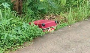 Polisi berhasil meringkus pelaku mutilasi di dalam koper.
