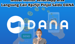 Hanya Modal Nomor WhatsApp, Bisa Dapat Pinjol Saldo DANA Langsung Cair Rp25jt Tanpa BI Checking
