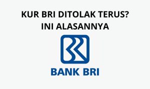 Pengajuan KUR BRI 2023 Ditolak? Ini Ternyata Alasannya!