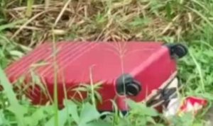 Pembunuhan sadis terjadi di Kecamatan Tenjo, Kabupaten Bogor. Mayat korban ditemukan di dalam koper merah dalam keadaan di mutilasi.