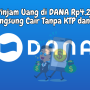 Pinjam Uang di DANA Rp4,2jt Cair Tanpa KTP dan KK