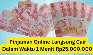 pinjaman online langsung cair