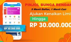 Pinjol bunga rendah tersedia limit hingga Rp 30 juta dengan proses mudah dan cepat.