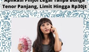 Pinjol Legal Langsung Cair Tanpa Bunga Tenor Panjang Limit Rp30jt Pinjol Legal Langsung Cair Tanpa Bunga Tenor Panjang Limit Rp30jt