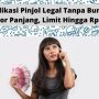 Pinjol Legal Langsung Cair Tanpa Bunga Tenor Panjang Limit Rp30jt