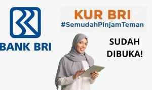 Kabar Baik untuk UMKM! KUR BRI 2023 Dibuka! Pencairan Lebih Cepat