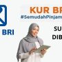 Kabar Baik untuk UMKM! KUR BRI 2023 Dibuka! Pencairan Lebih Cepat