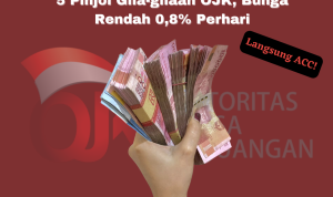 pinjol bunga rendah
