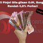 pinjol bunga rendah