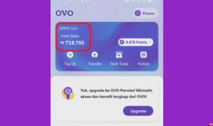 saldo OVO gratis liliquis dan licorice