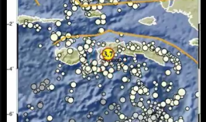 Info Gempa Terkini M 3,7 Di Maluku Hari Ini 3 Maret 2023